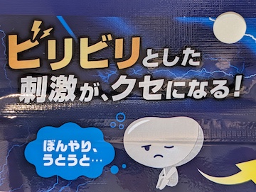 概要