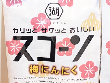 概要