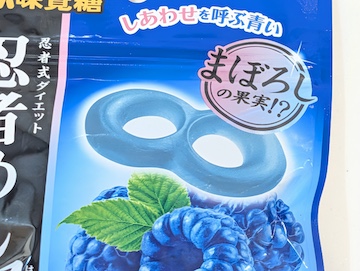 概要