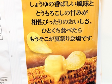 概要