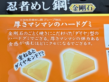 概要