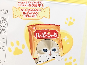 オリジナルの「ハッピーターン」の袋を被った猫