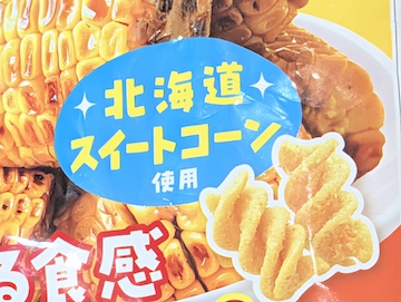 概要