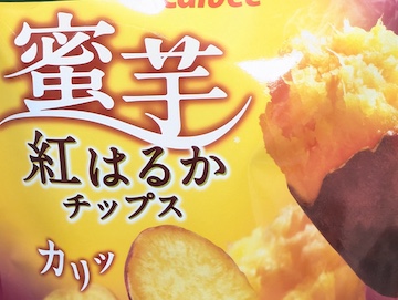概要