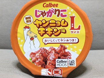 概要
