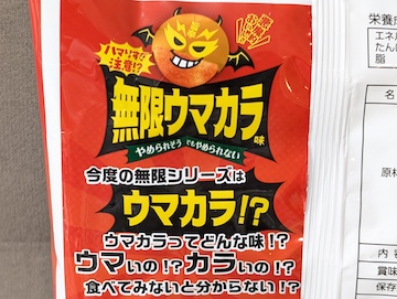 概要