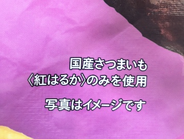 概要