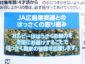 はっさくへの思い