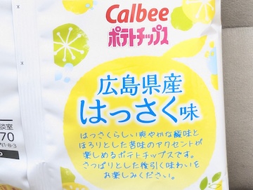 が概要