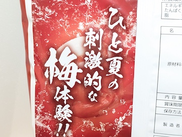 概要