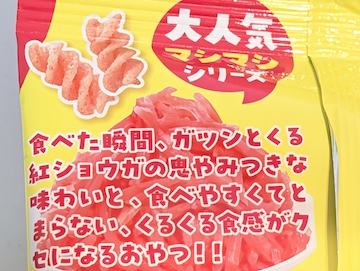概要