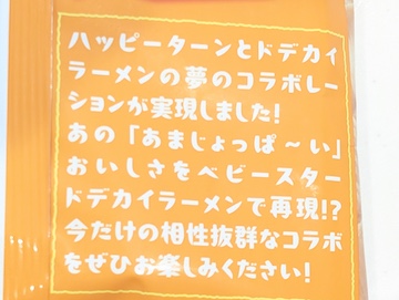 概要