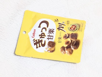 概要