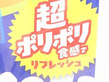 概要