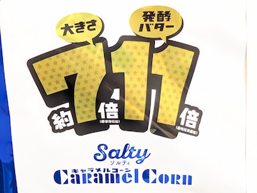 概要