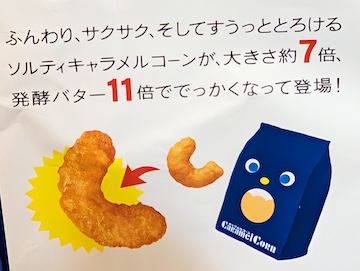 詳細