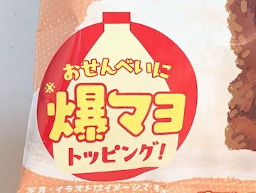 概要